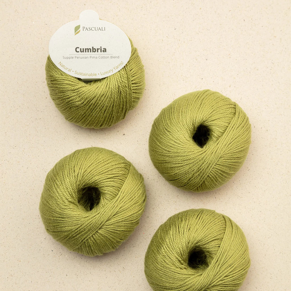 Pascuali - Cumbria