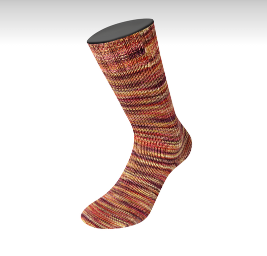 Lana Grossa - Vintage Socks Multi