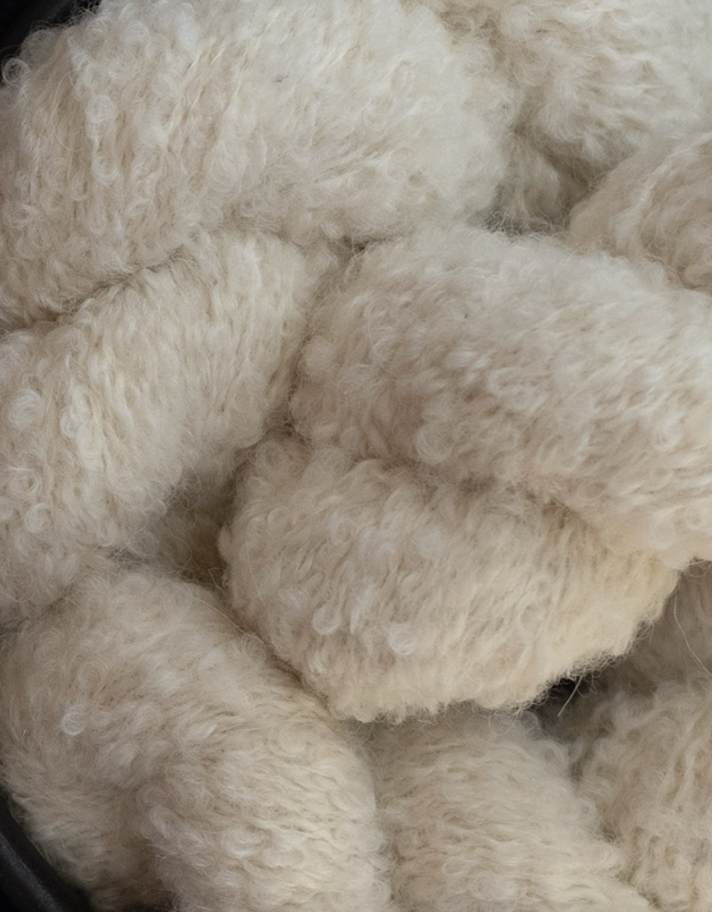 Julie Asselin - Boucle