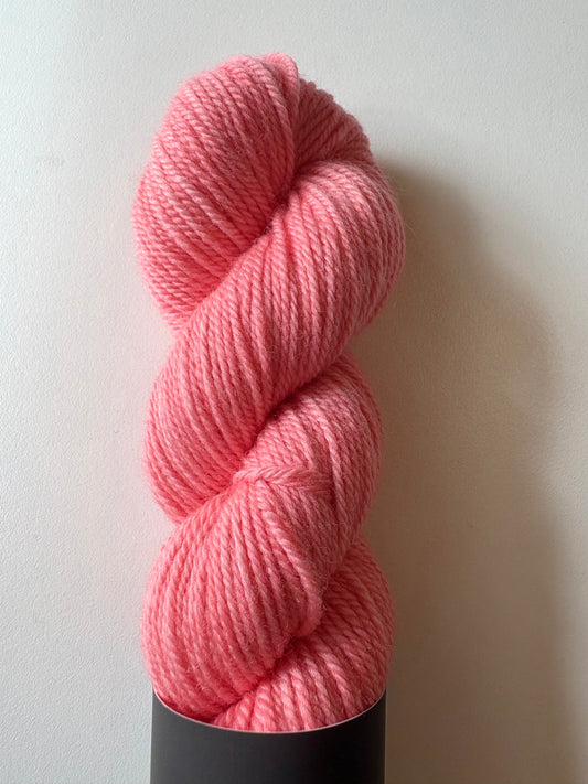 Julie Asselin - Journey Sport