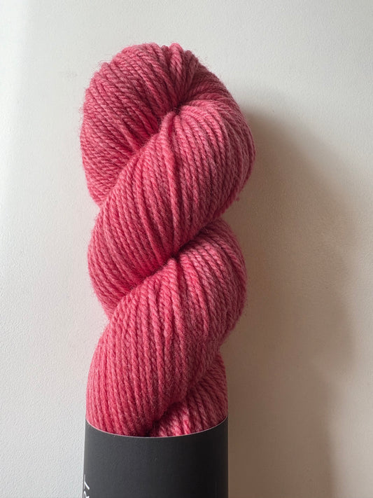 Julie Asselin - Journey Sport