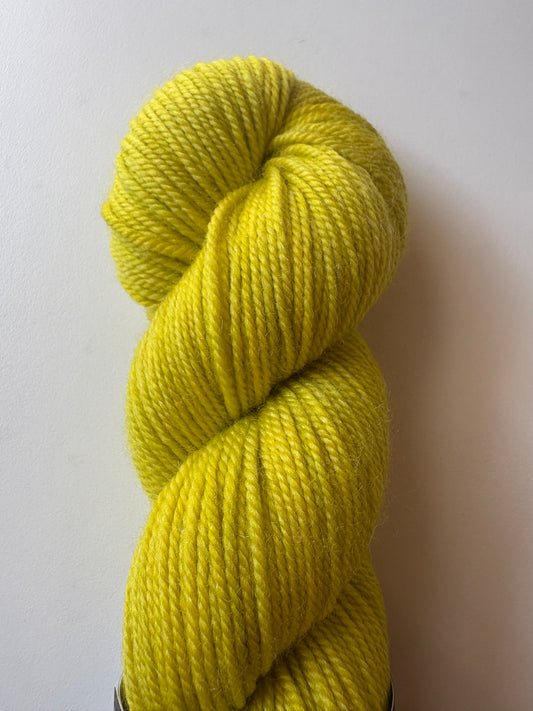 Julie Asselin - Leizu DK