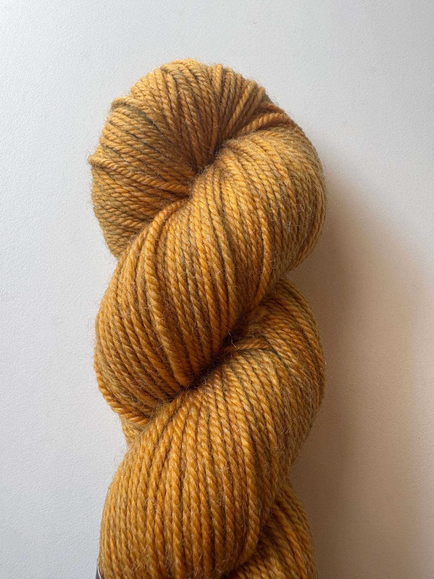 Julie Asselin - Leizu DK
