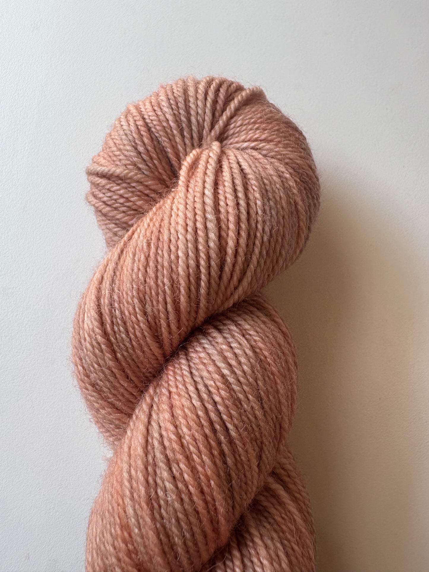 Julie Asselin - Leizu DK