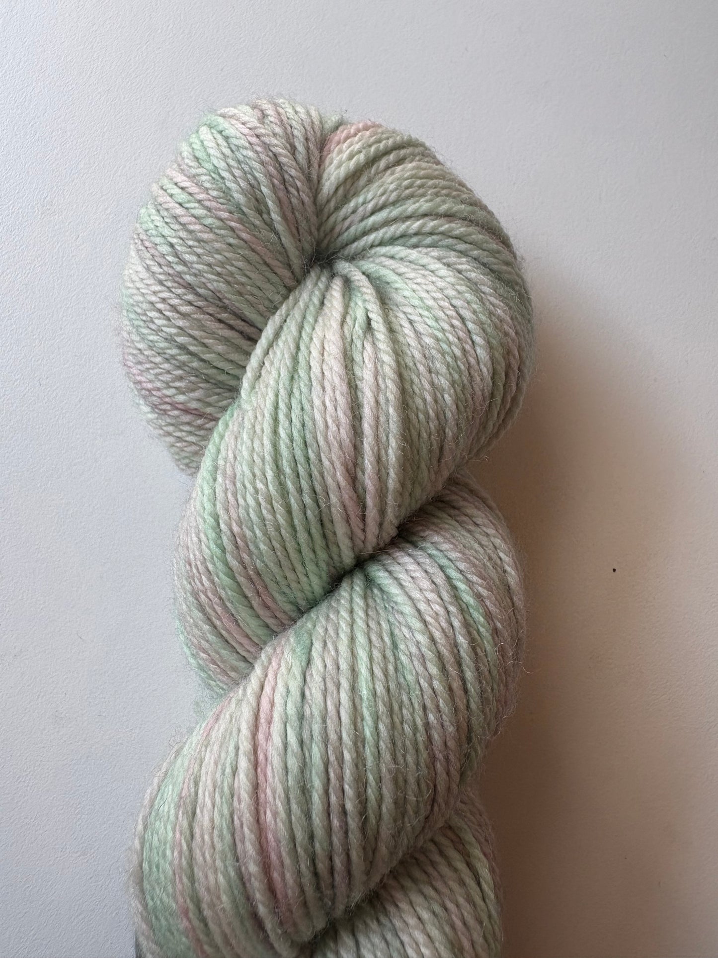 Julie Asselin - Leizu DK