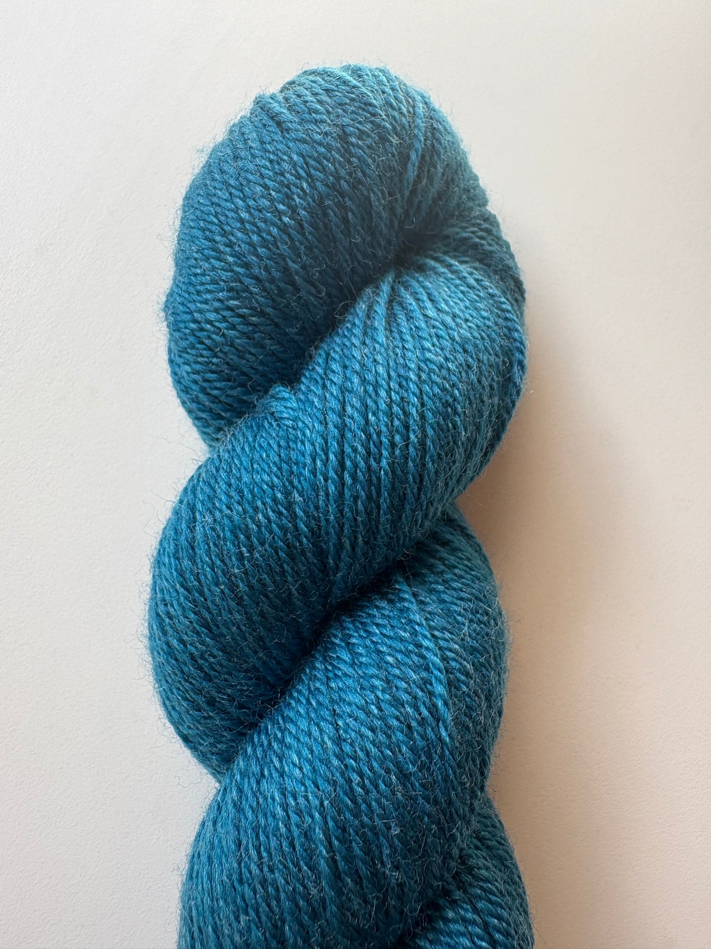 Julie Asselin - Leizu DK