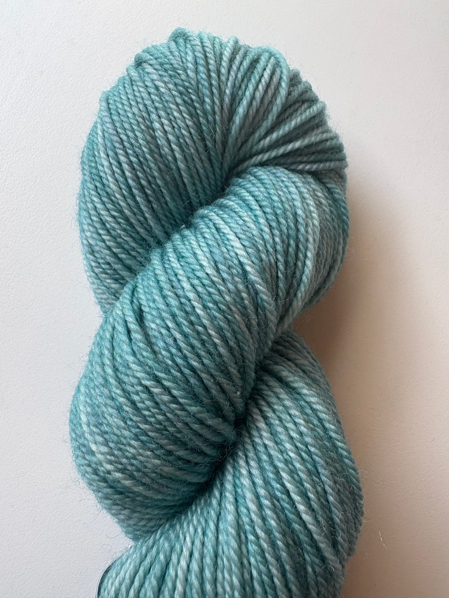 Julie Asselin - Leizu DK