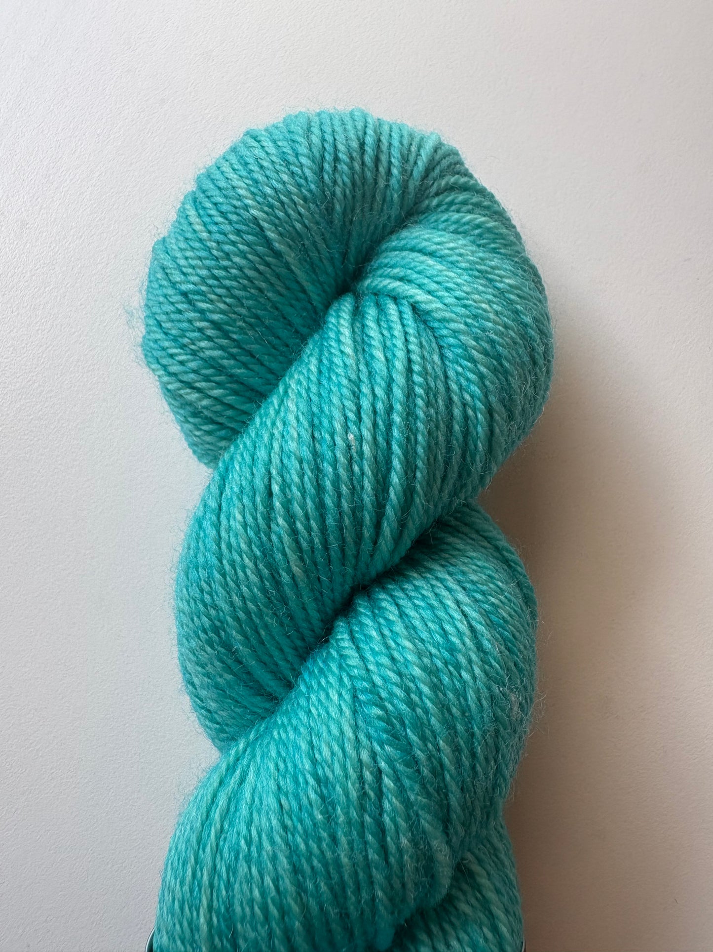 Julie Asselin - Leizu DK