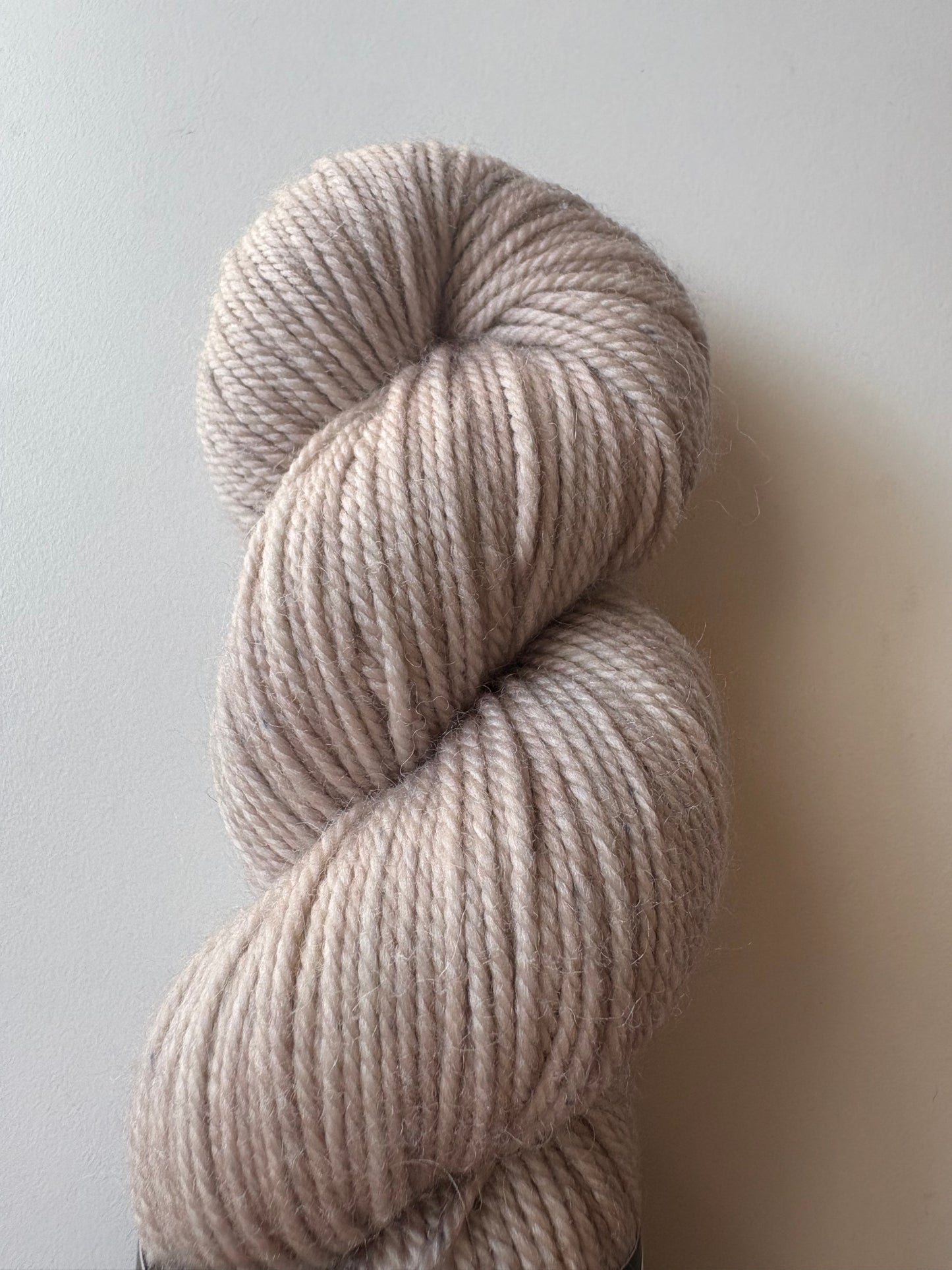 Julie Asselin - Leizu DK