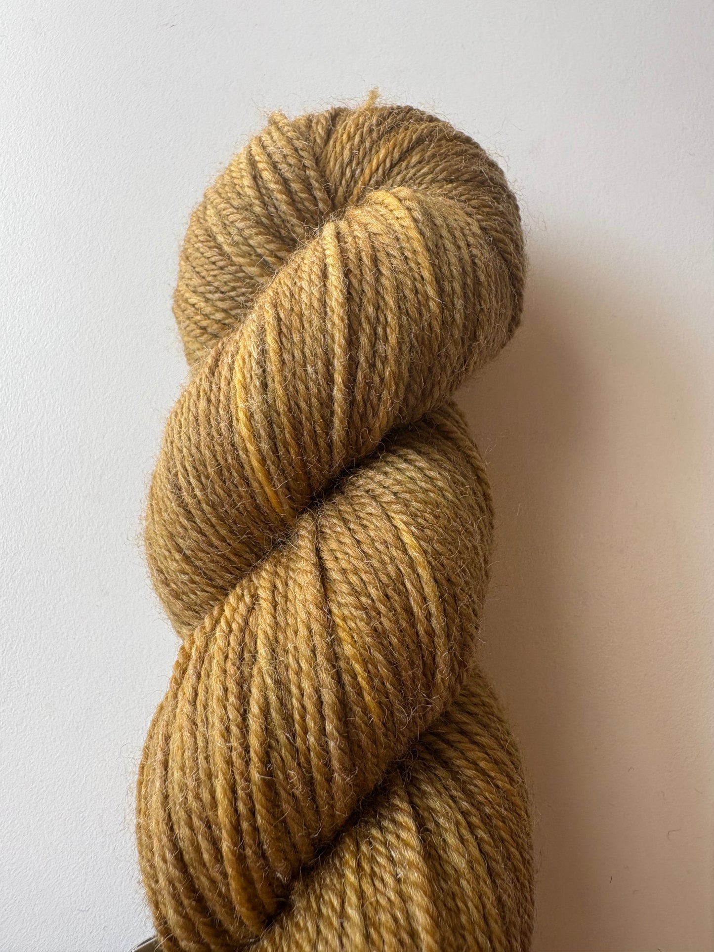 Julie Asselin - Leizu DK