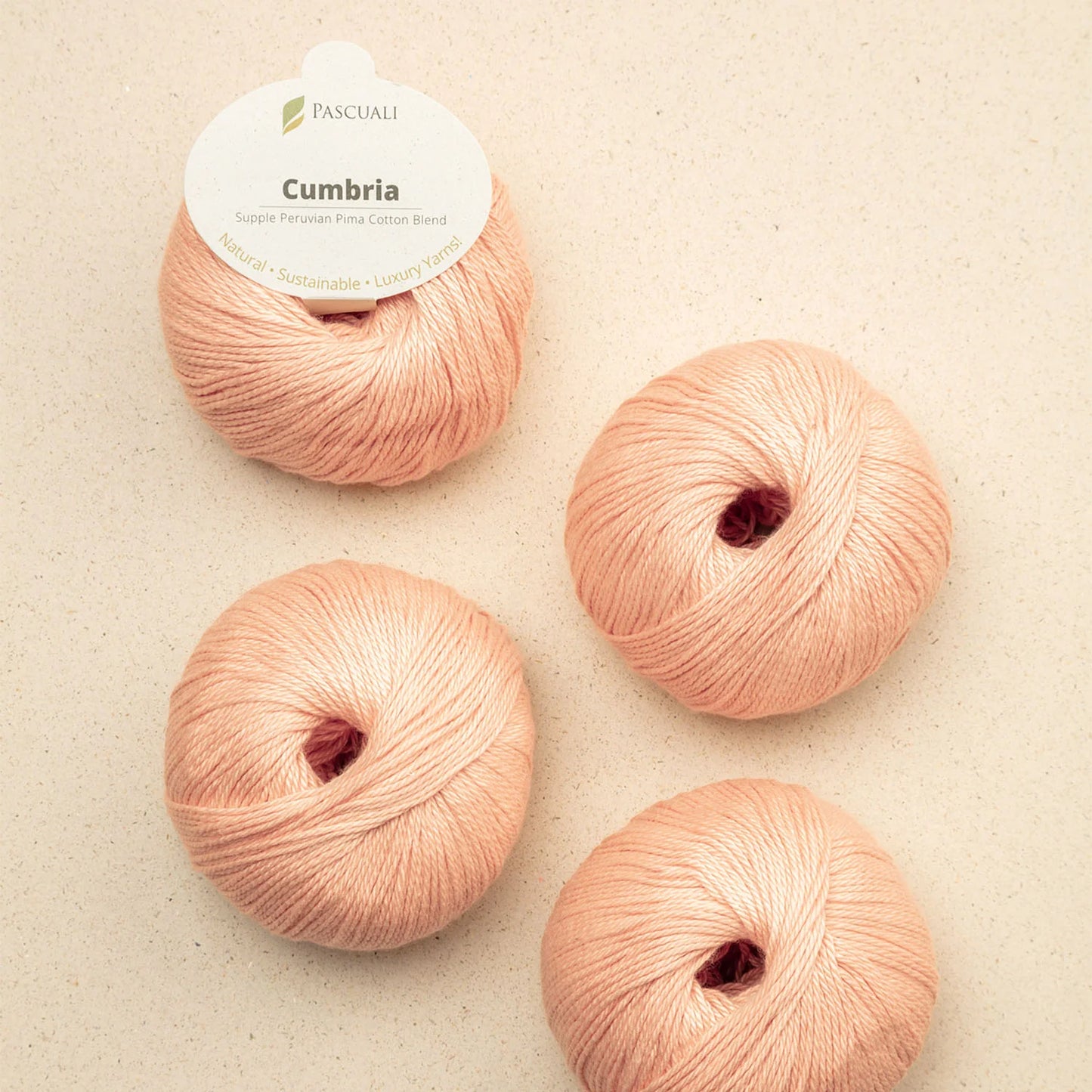 Pascuali - Cumbria