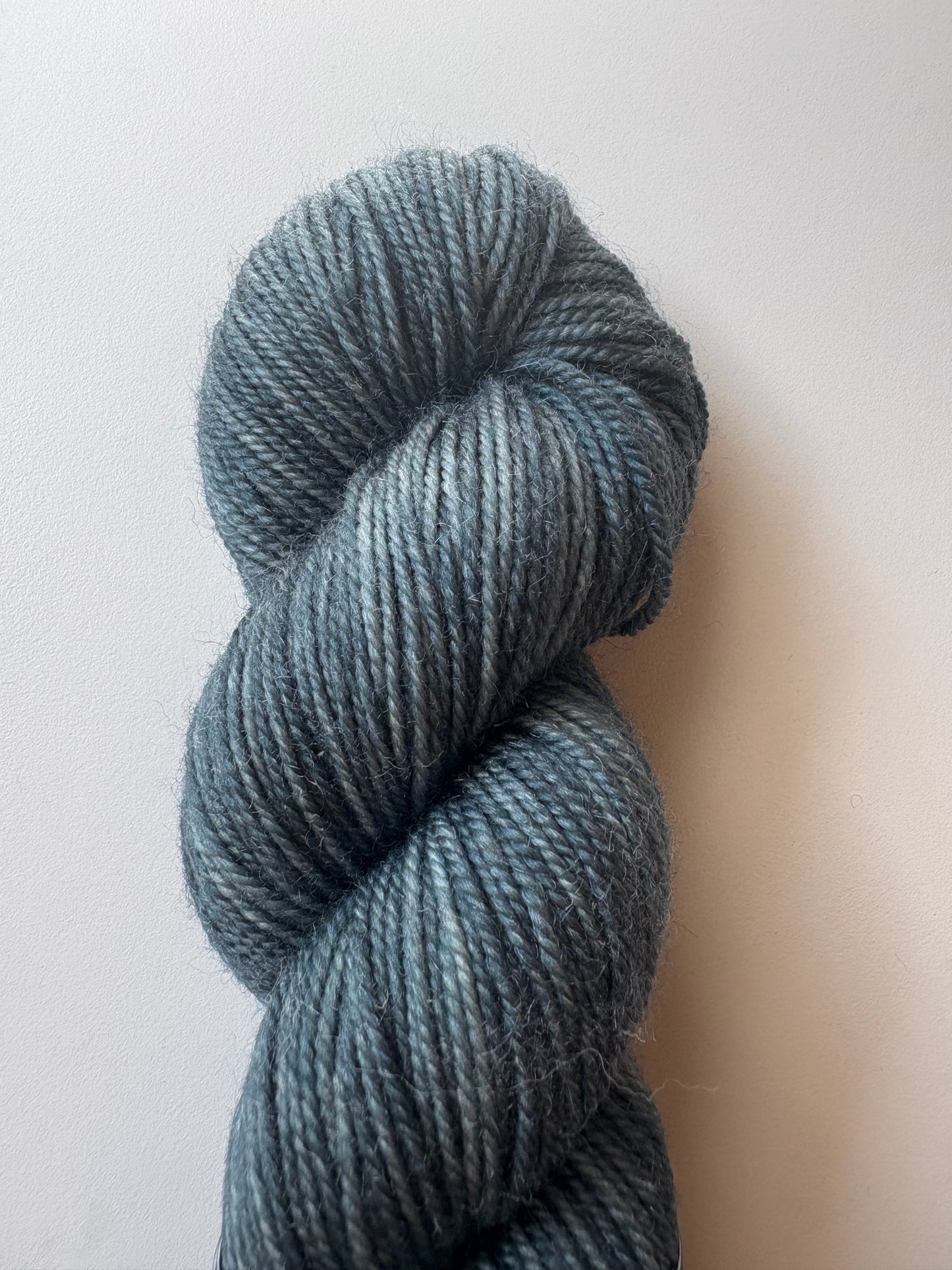 Julie Asselin - Leizu DK