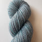 Julie Asselin - Leizu DK